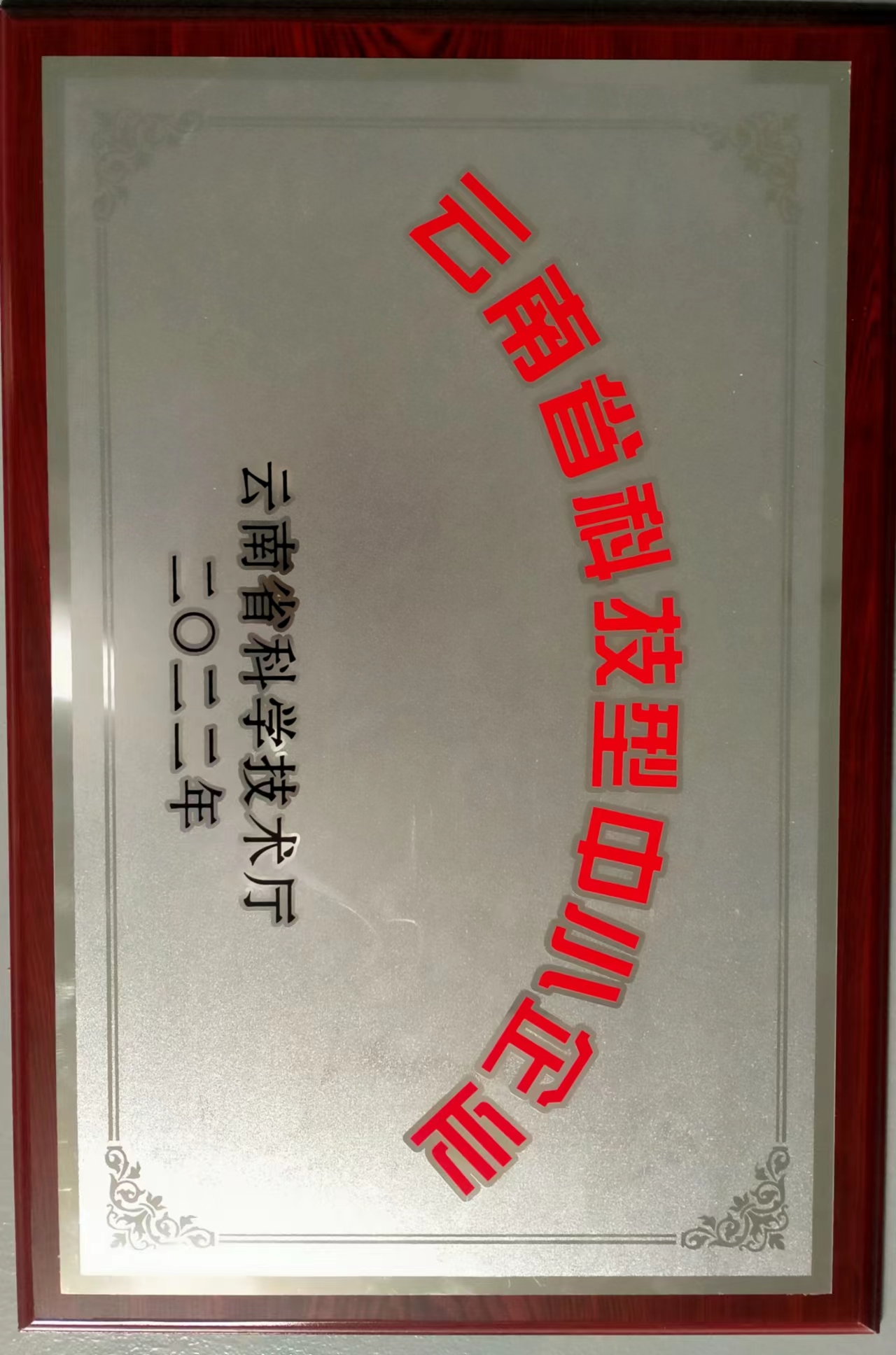 云南省科技型中小企業